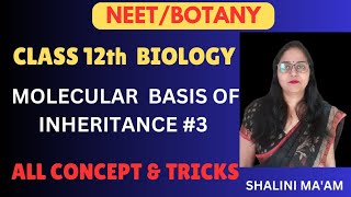 Molecular Basis of Inheritance class 12 I Molecular Basis of Inheritance  Important Notes for NEET [upl. by Eivi320]