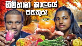 ගිම්හාන කාලයේ රසම පලතුරු  Fruits in Autumn  sinhala food review [upl. by Yenaled]