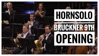 Bruckners 9th Symphony Horns Opening [upl. by Annahsit]