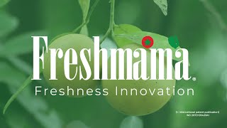 Freshmama Preservative Sheet [upl. by Alekin]