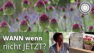 Wichtige Bienenpflanzen für Frühjahr und Sommer die man JETZT setzen muss [upl. by Levine]