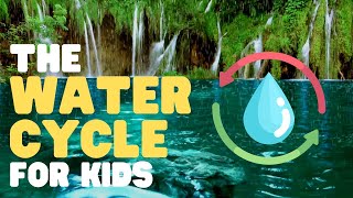 The Water Cycle for Kids  Learn all about the water cycle [upl. by Eibot617]