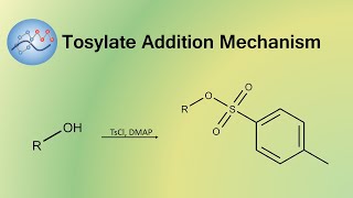 Adding Tosylate Group Mechanism  Organic Chemistry [upl. by Sasha215]