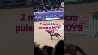 HOYS 2023 Puissance winner 2 meters 20cm horseoftheyearshow [upl. by Lawlor]