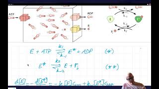 ATP biological battery phosphorylationdephosphorylation dynamics [upl. by Loughlin]