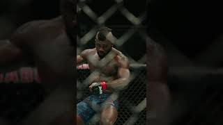 SLOW MO NINJA KICK 🚨 ufctampa [upl. by Elsbeth619]