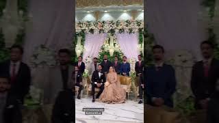 hafsa afzal Safdar walima wedding [upl. by Yllas192]