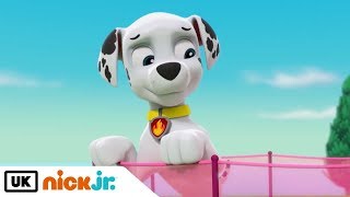 Paw Patrol  Marshalls Mishaps  Nick Jr UK [upl. by Fisa]