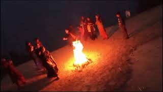 lohri celebration 2024lohricelebration lohri celebration how to celebrate lohri [upl. by Khan200]