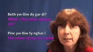 My amp your Unit 14  Welsh Beginners Mynediad [upl. by Uht545]