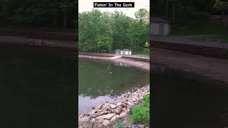 Fishin In The Dark  Nitty Gritty Dirt Band shorts Click Subscribe [upl. by Cadmar]