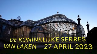 De Koninklijke Serres van Laken 27 04 2023 [upl. by Irena]