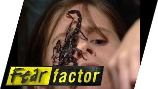 Forest Scorpions on Face  Fear Factor Extra [upl. by Dihsar224]