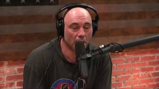 Joe Rogan on Addiction amp Wasting Your Life [upl. by Nihi]