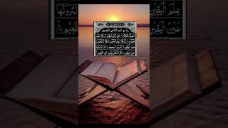 Surah takasur alhakumut takasur Urdutranslation surahtranslation Qurantranslation [upl. by Kimberlee]