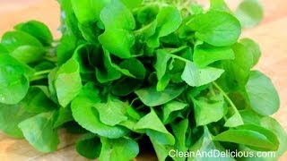 Watercress 101  Everything You Need To Know [upl. by Kenway587]