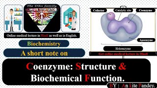 Coenzyme Structure and biochemical function  Coenzymes in hindi audio [upl. by Aket]