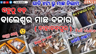 BALESWAR FISH MARKET in bahabalapur 😍ବାଲେଶ୍ୱର ମାଛ ମାର୍କେଟ ଇଲିସି କେତେ ସମୁଦ୍ର ମାଛ ❤️VloginBLS [upl. by Eclud]