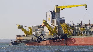 MEDWAY  Trailing suction hopper dredger  Port of Felixstowe [upl. by Edmund]