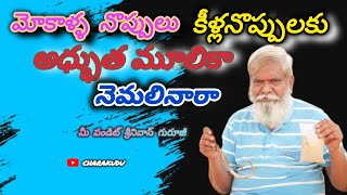 మోకాళ్ళ నొప్పులు కీళ్లనొప్పులకు అధ్భుత మూలికా నెమలినారా ll మీ పండిట్ శ్రీనివాస్ గురూజీ ll [upl. by Drescher]