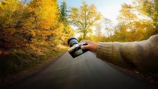 Relaxing Nature Photography in Autumn Forest POV [upl. by Ellenid]