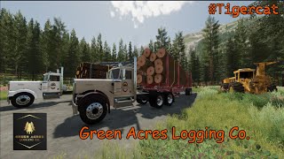 FS22 Forestry Doing some logging behind the house Tigercat [upl. by Valaria754]