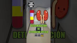 🫘Como Hacer la Determinación de UREANITRÓGENO UREICO en el Laboratorio ClínicoTutorial🔬 [upl. by Ailima327]