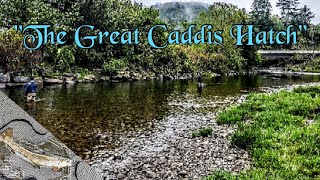 Catskills Fly Fishing quotThe Beaver Killquot  Part 2 [upl. by Also578]