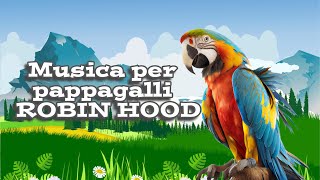 Musica per pappagalli  ROBIN HOOD  Fischio per training pappagallo [upl. by Anawit]