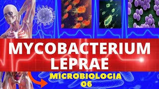 MYCOBACTERIUM LEPRAE  MICROBIOLOGIA BACTÉRIAS PATOGÊNICAS  HANSENÍASE [upl. by Ennirak]