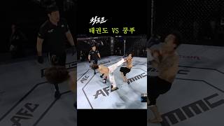 대한민국 태권도 vs 중국 무술 쿵푸 ㄷㄷ [upl. by Moitoso]