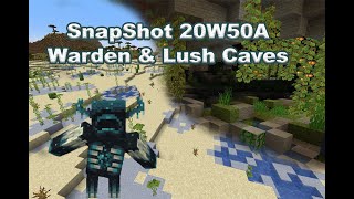 Minecraft Snapshot 20W50A No SnapShot This Week [upl. by Ymma126]