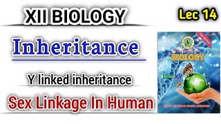 Sex linked inheritance in Human lec 15  Y linked inheritance class 12 [upl. by Ainahs]