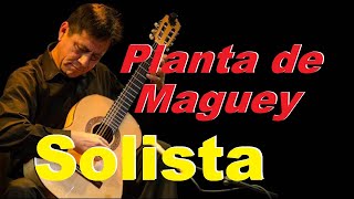 PLANTA DE MAGUEY letra Huayno norte de Lima  Guitarra Solista  Javier Molina  Lima  Perú [upl. by Nogaem66]