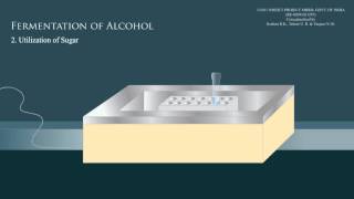 Fermentation of alcohol part 2 [upl. by Yeorgi]