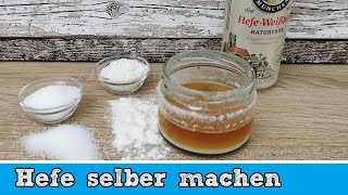 Hefe selber machen aus Bier  Einfach und schnell 🍺 [upl. by High393]