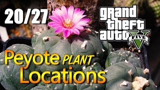 GTA 5  Peyote Plant Locations 2027 [upl. by Velvet]