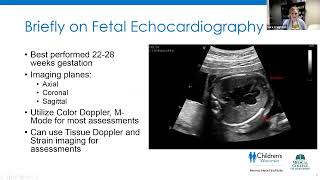 Joint Echo Conference Fetal Echocardiography [upl. by Antone]