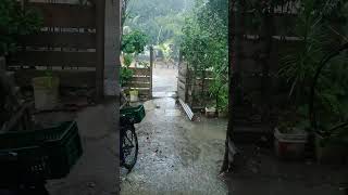 forte chuva em Trancoso Bahia Porto seguro [upl. by Deanne33]