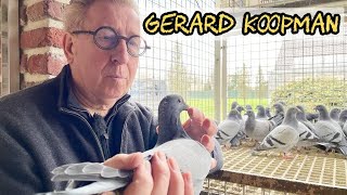 Gerard Koopman Racing Pigeon  The Unstoppable Gerard Koopman and His Champion Lineage [upl. by Jecon]