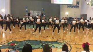 Varsity Pantherettes 2016 Homecoming Performance [upl. by Cacilia]