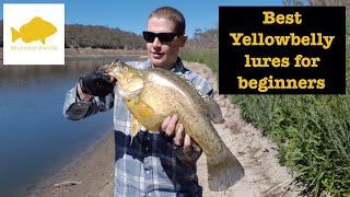 Best Yellowbelly lures for beginners fishing from shore [upl. by Penn]