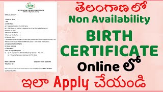 Non Availability Birth Certificate in Telangana  How To Apply It Online in Telugu [upl. by Crysta]