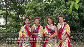 Nagami Lizo  Tetseo Sisters  A song for Nagaland [upl. by Anrahc]