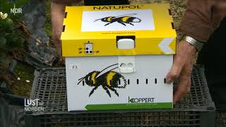 TV Doku Bienen einfach per Post verschicken [upl. by Haynes875]