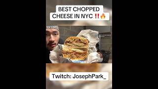 BEST CHOPPED CHEESE IN NYC 🔥 [upl. by Hu879]