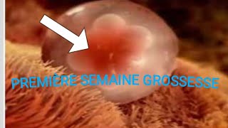 première semaine de grossesse une femme [upl. by Lette]