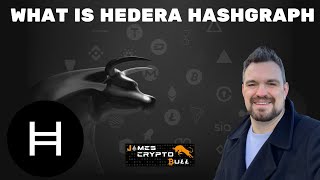 Hedera Hashgraph Explained The Future of Distributed Ledger Technology [upl. by Hatfield]