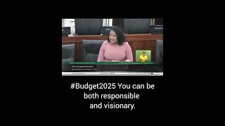 A government can be responsible and visionary Budget2025 [upl. by Anuahsed]