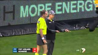 Goal umpire down  AFL [upl. by Divine239]